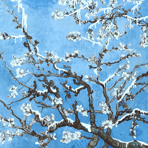 久久精品青草社区
